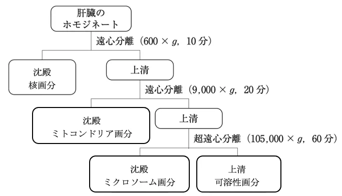 107回問172画像1