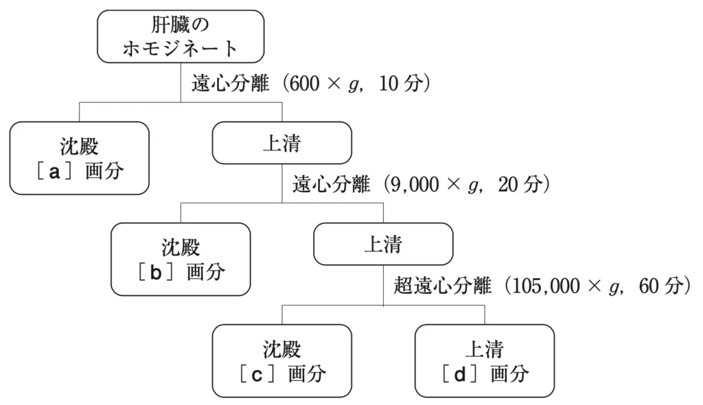 107回問172画像1