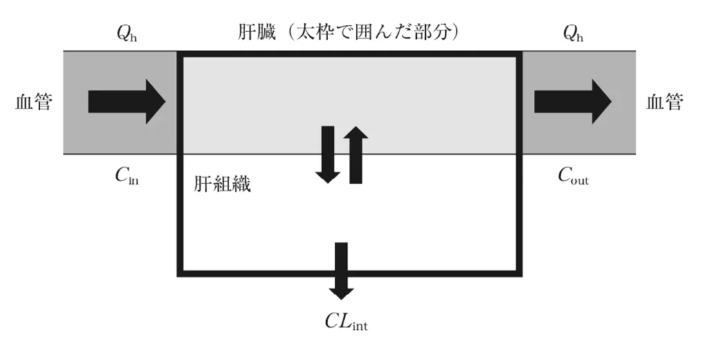 107回問176画像1