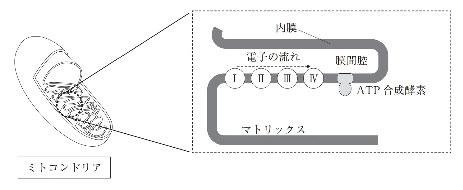 108回問112画像1