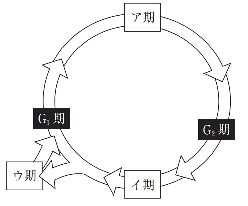 108回問113画像1