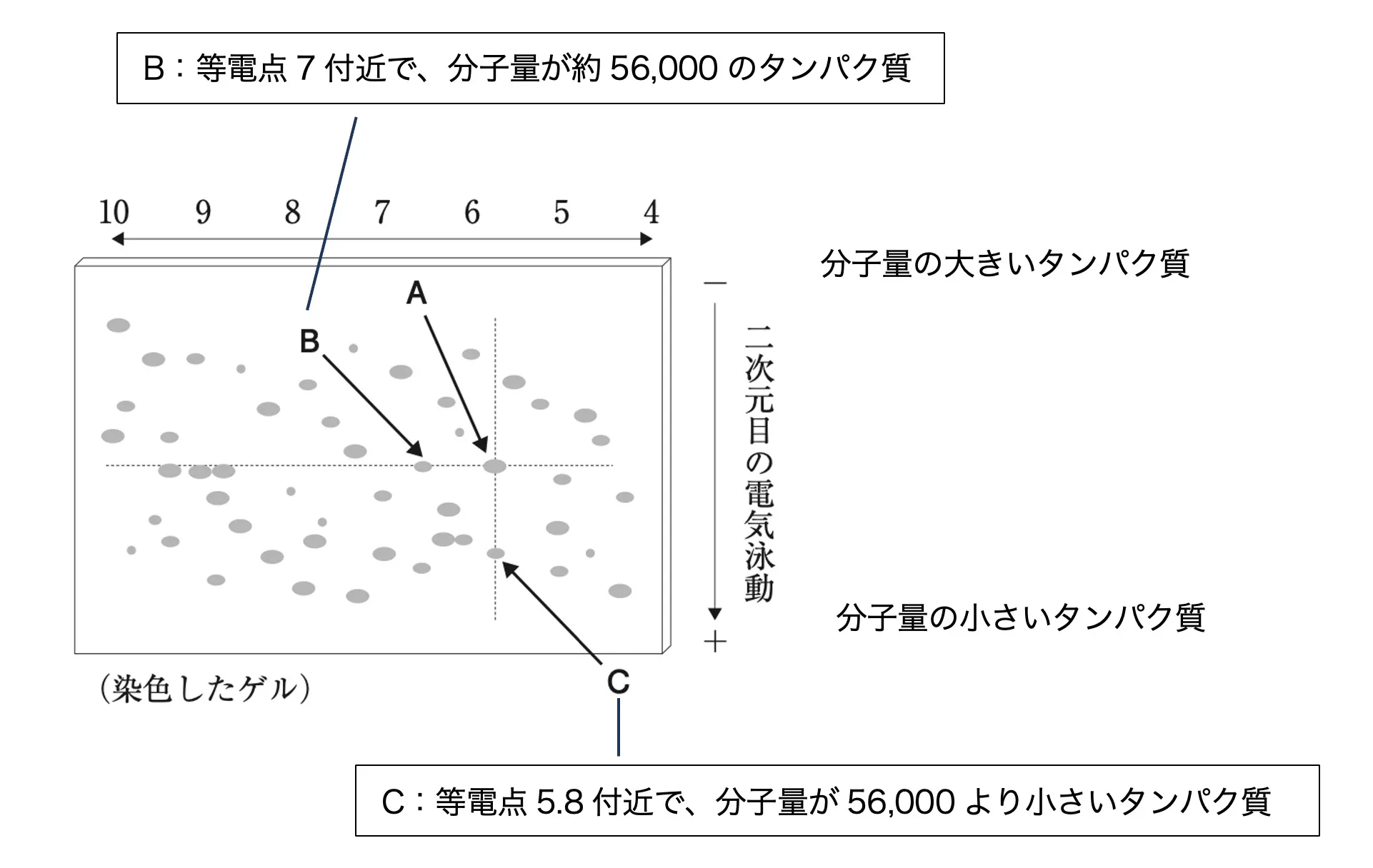 108回問114画像1