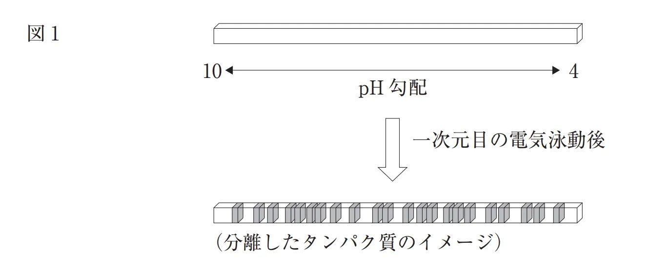 108回問114画像1