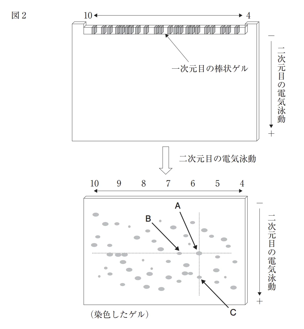 108回問114画像2