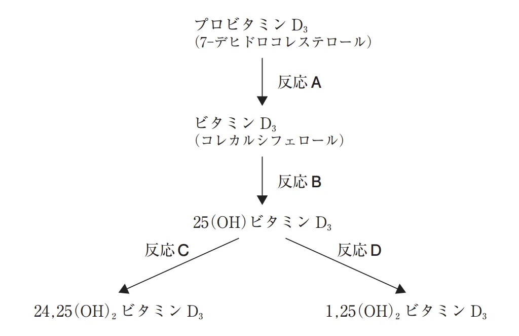 108回問218-219画像2