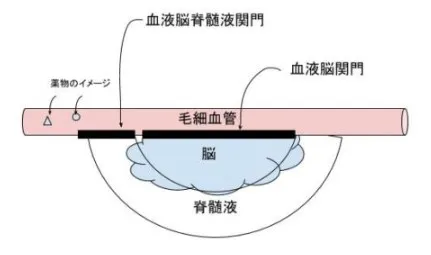 108回問43画像1