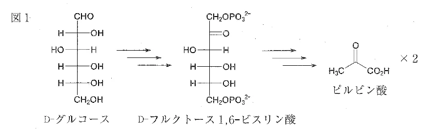 109回問110-111画像1