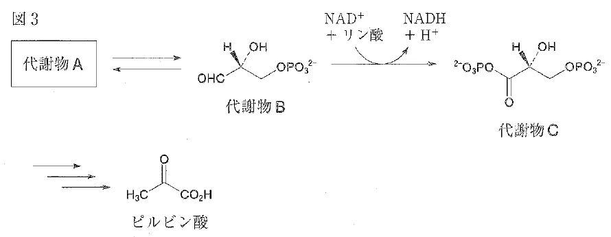 109回問110-111画像3