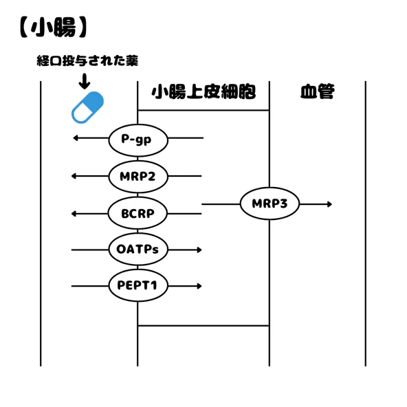 109回問42画像1