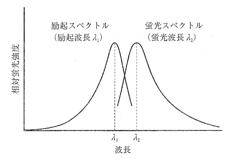 109回問95画像1