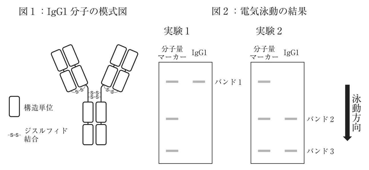 111回問114画像1