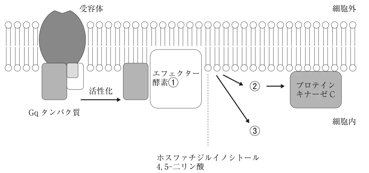 111回問120画像1