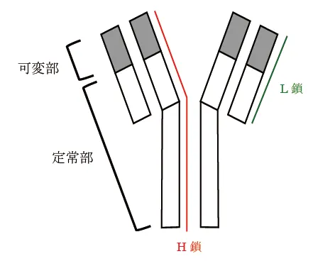 97回問119画像1