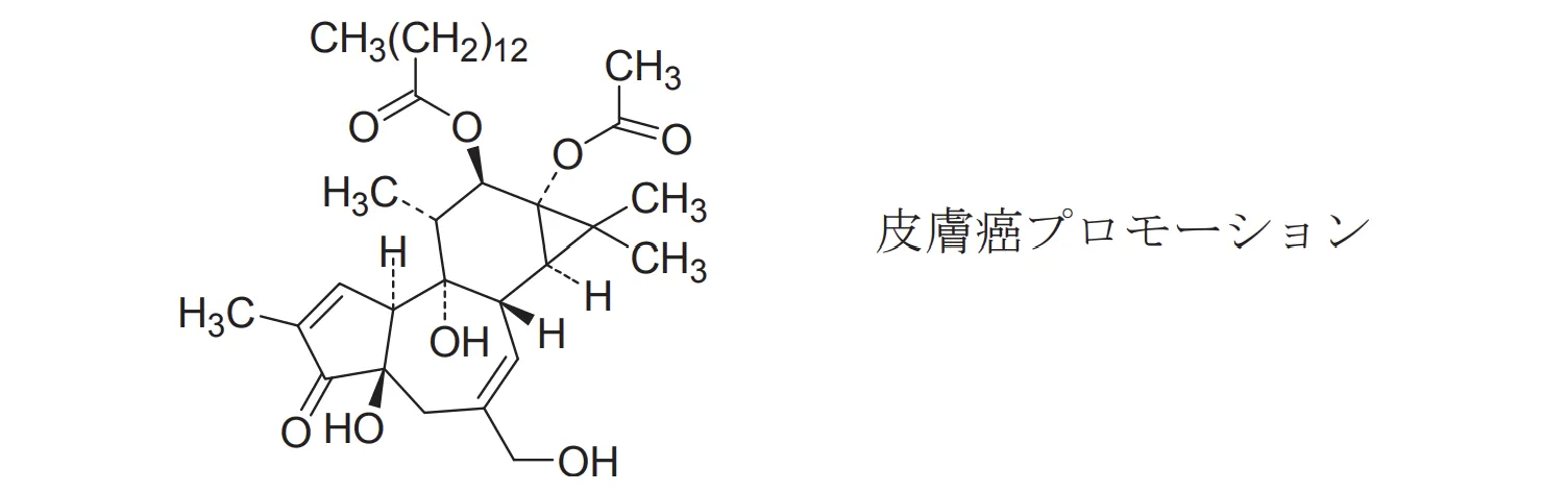 97回問132画像5