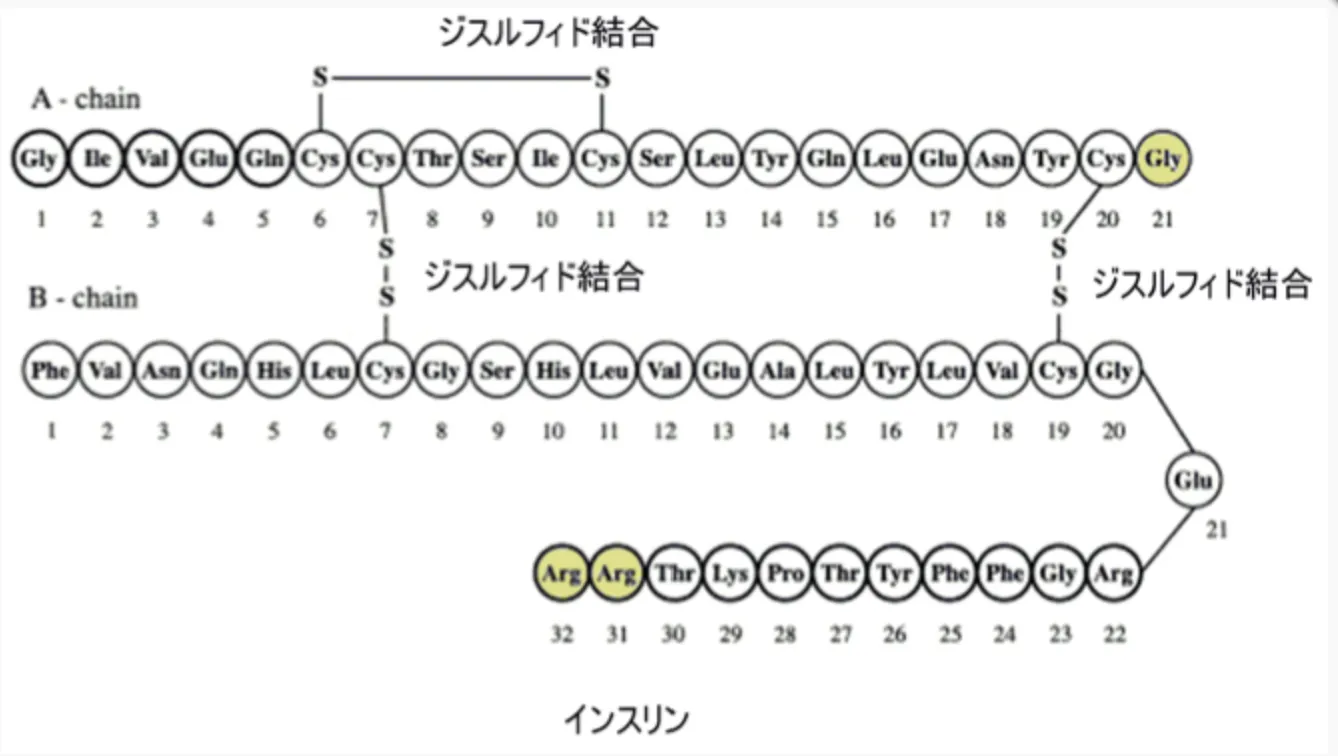 98回100問解答画像2