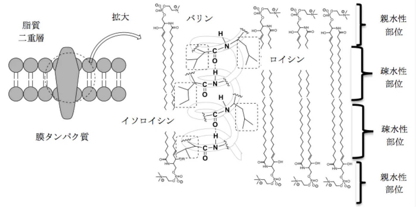 98回100問解答画像4