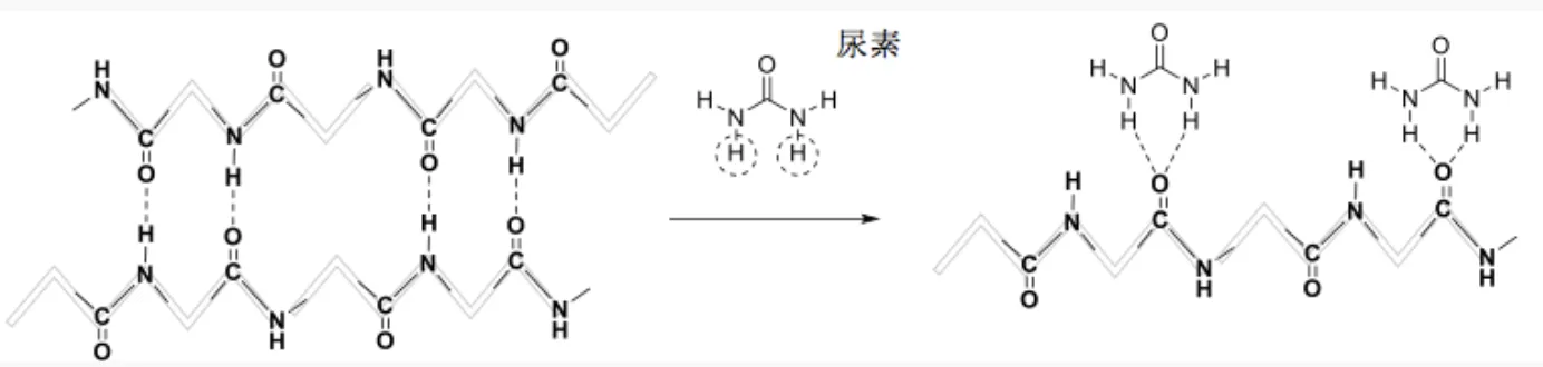 98回100問解答画像5