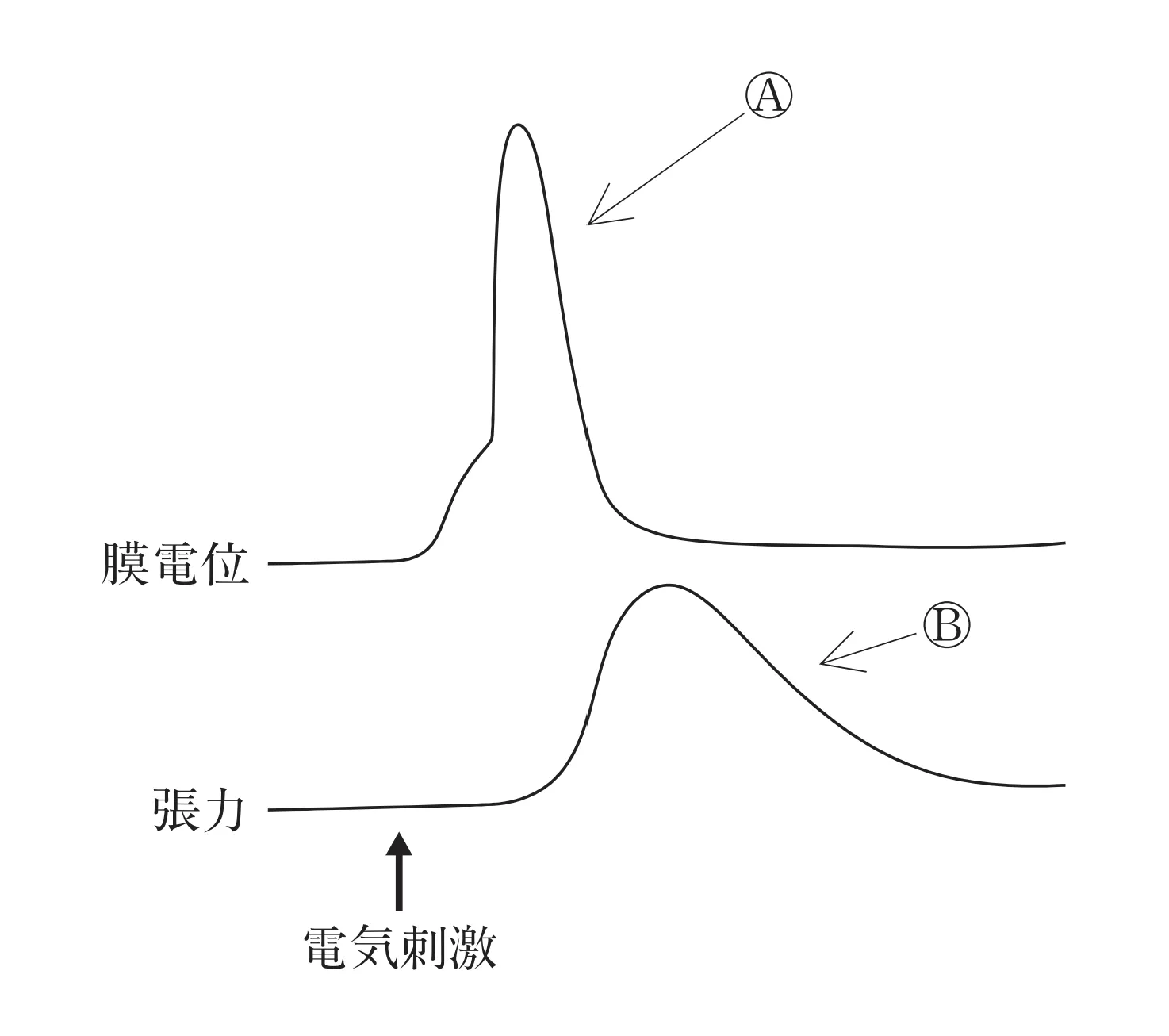 99回問154画像1